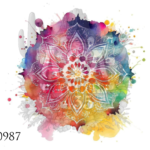 website right size 2026 08 05t151700.144