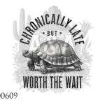 website right size 2026 08 11t183628.622