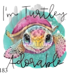 website right size 2026 08 11t183707.988